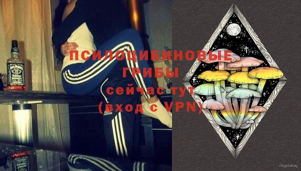 круглые Алексеевка