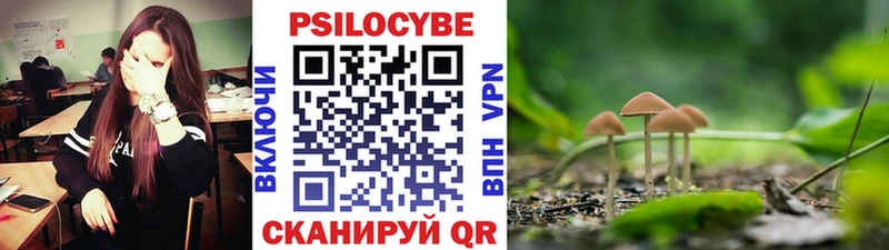купить наркоту  Апатиты  Галлюциногенные грибы GOLDEN TEACHER 